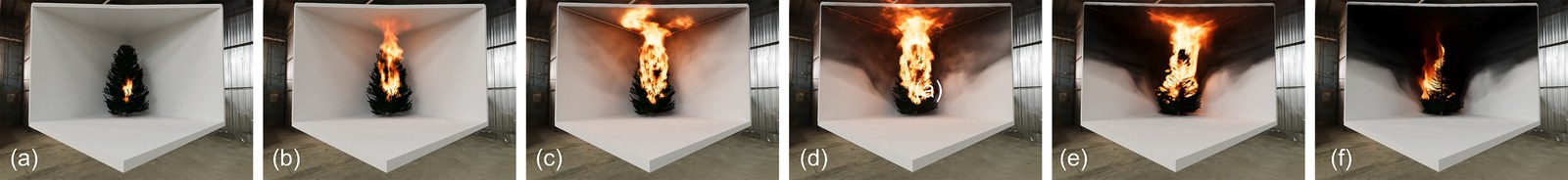 Temporal progression of a simulated dry fir tree fire